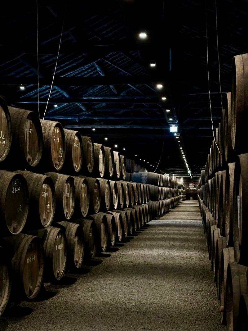 Rows of wine barrels in a dim cellar